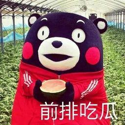 吃瓜群众周周,揭秘娱乐圈幕后故事