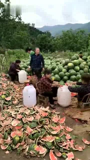 树下吃瓜群众,围观群众的趣味时光