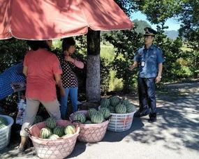 树下吃瓜群众,围观群众的趣味时光