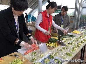 偏远地区吃瓜群众,揭秘偏远地区群众的生活百态