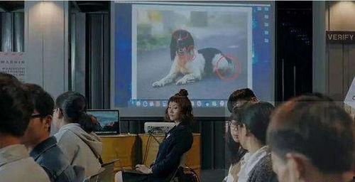 昆艺院吃瓜群众视频大全,校园生活趣味瞬间大揭秘