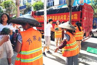 急寻吃瓜群众,全民参与，共赏瓜界风云