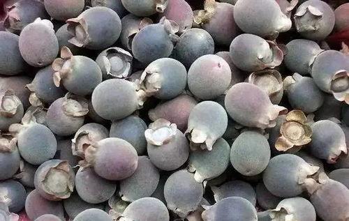 吃瓜群众甲丙丁,揭秘娱乐圈背后的故事