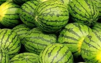 吃瓜群众那个瓜是什么瓜,究竟是什么瓜引发全民关注?