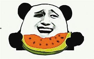 吃瓜群众柚子的图片高清,高清捕捉瓜界萌态