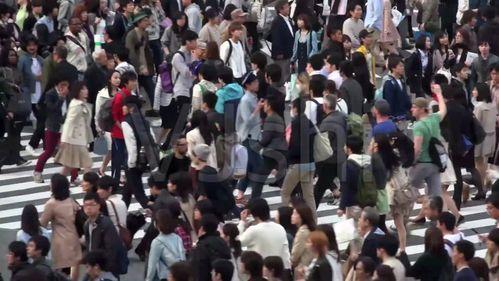 遭枪击杀的吃瓜群众,缅怀那些在暴力中陨落的吃瓜群众