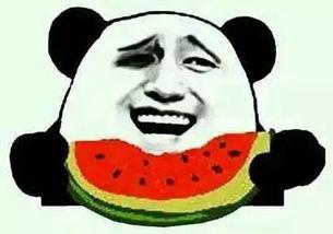 吃瓜群众绿幕视频大全,揭秘吃瓜群众绿幕视频大全