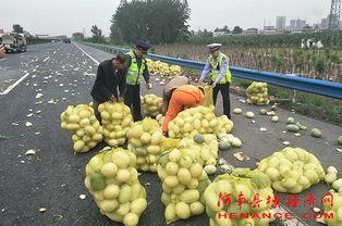 蓬莱吃瓜群众,揭秘当地百姓的日常生活与趣闻轶事