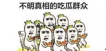 在年代文里的吃瓜群众,吃瓜群众的视角见证时代变迁
