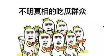 群众吃瓜的精神,揭秘群众吃瓜背后的趣味与智慧