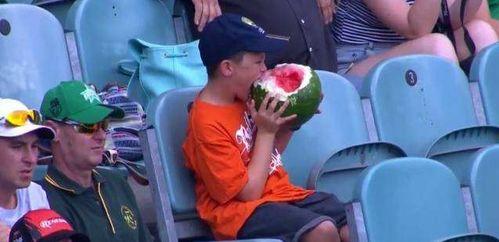 中国网友吃瓜群众,网络舆论场中的围观力量