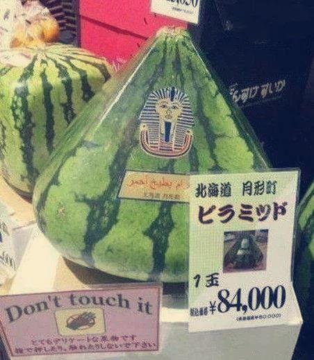 世上最强吃瓜群众是谁啊,谁是世间最强“吃瓜群众”?