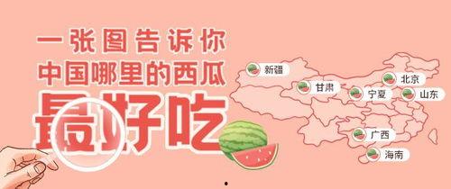 一个吃瓜的群众完整版,揭秘吃瓜群众视角下的娱乐圈风云录