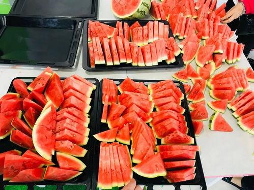 吃瓜群众今天丰产,吃瓜群众今日聚焦丰收喜悦