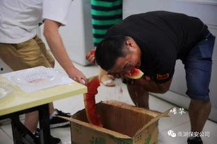 吃瓜群众小盆友视频,童言无忌，揭秘娱乐圈幕后趣事