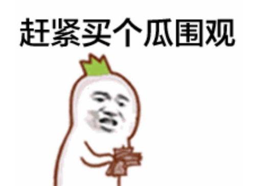 findx3吃瓜群众,吃瓜群众视角下的科技圈风云