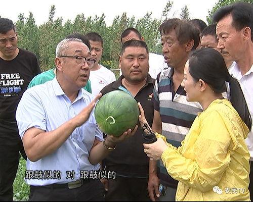 围观群众吃瓜完整版,完整版事件全记录