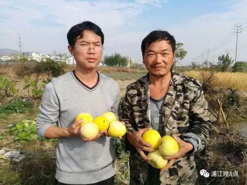 吃瓜群众4859,一场全民参与的娱乐盛宴