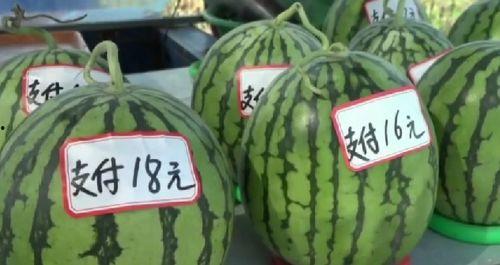 尊重吃瓜群众,共绘和谐网络画卷