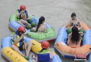 美人鱼吃瓜群众,吃瓜群众揭秘海洋奇缘