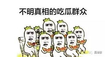 吃瓜群众的自我修养,如何成为理智围观者