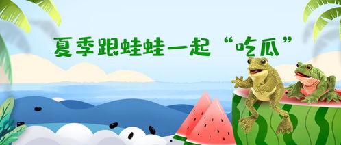 吃瓜群众的夏日,轻松度夏必备攻略