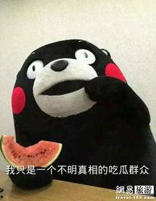 盘子吃瓜群众,吃瓜群众的趣味解读