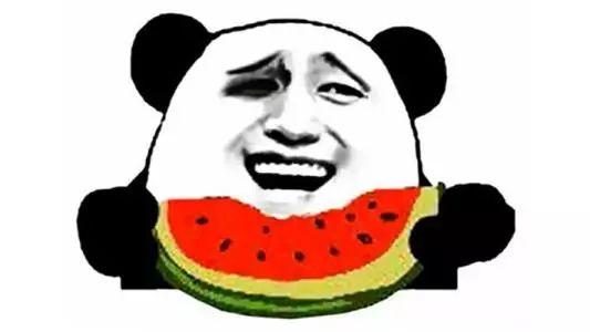 动物园里的吃瓜群众是谁,揭秘动物界的八卦风云