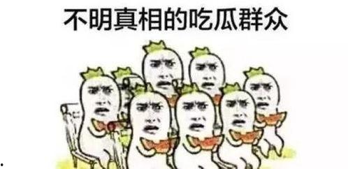 动物园里的吃瓜群众是谁,揭秘动物界的八卦风云