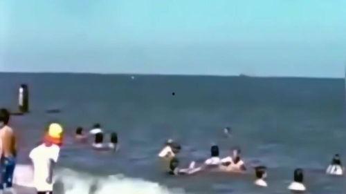 海洋里的吃瓜群众,揭秘海洋生物的饮食习惯