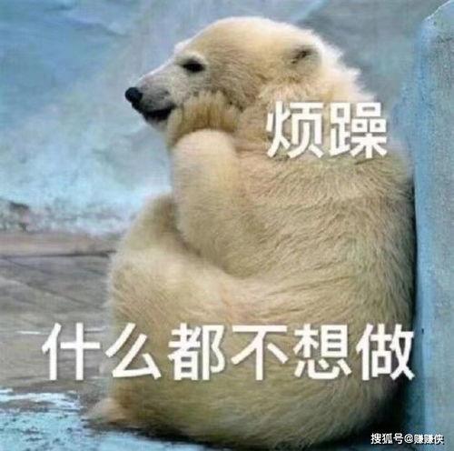 吃瓜群众图片动图,吃瓜群众表情包背后的趣味瞬间