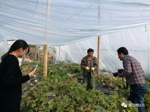 徐州吃瓜群众,揭秘街头巷尾的热辣美食故事