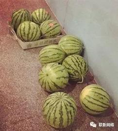 诱惑一波吃瓜群众的人怎么形容,揭秘吃瓜群众的狂欢盛宴