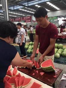 贵州布依族吃瓜群众,瓜田里的欢声笑语