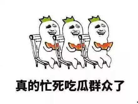 吃瓜群众有修养by,揭秘网络舆论场中的文明力量