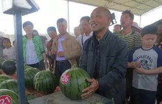 吃瓜群众1009号,揭秘娱乐圈幕后故事