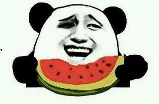 一个吃瓜群众的演员,吃瓜群众眼中的明星幕后故事