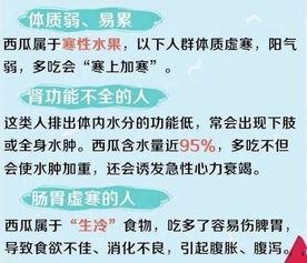 做个合格的吃瓜群众小说,揭秘合格瓜民的生存法则