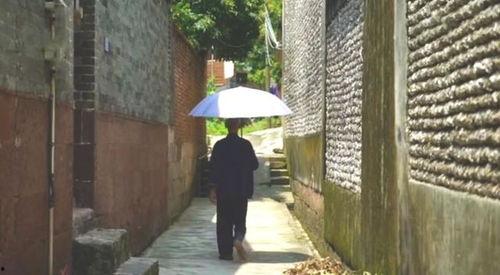 闵行吃瓜群众事件,一场网络舆论的风暴与反思