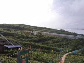 武功山打架事件吃瓜群众,吃瓜群众视角下的现场直击